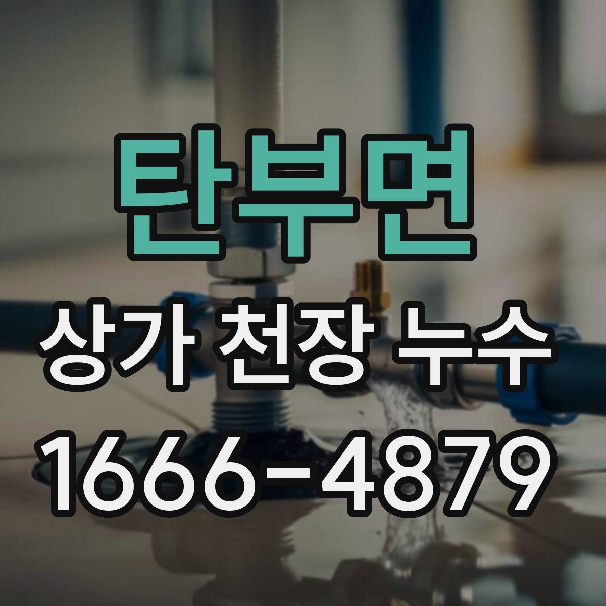 탄부면 상가 천장 누수