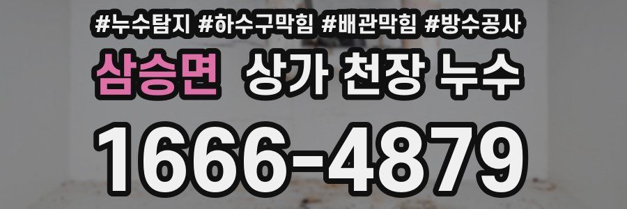 삼승면 상가 천장 누수