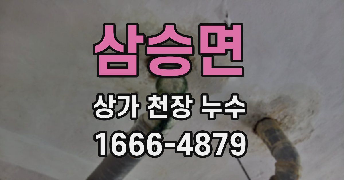 삼승면 상가 천장 누수