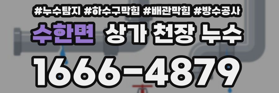 수한면 상가 천장 누수