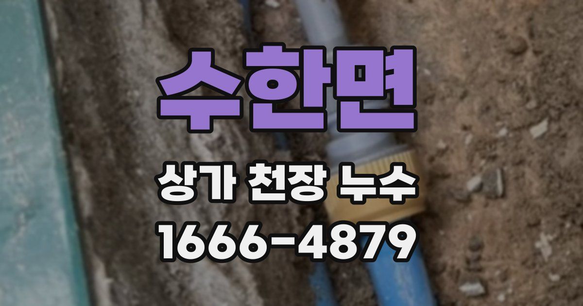수한면 상가 천장 누수