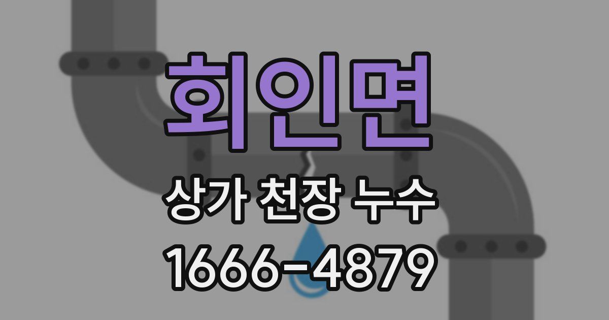 회인면 상가 천장 누수