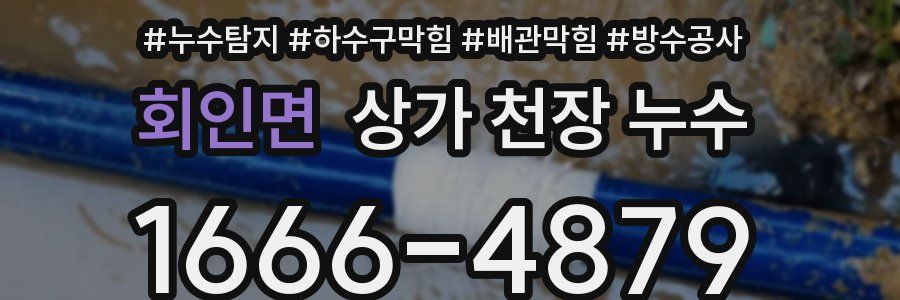 회인면 상가 천장 누수