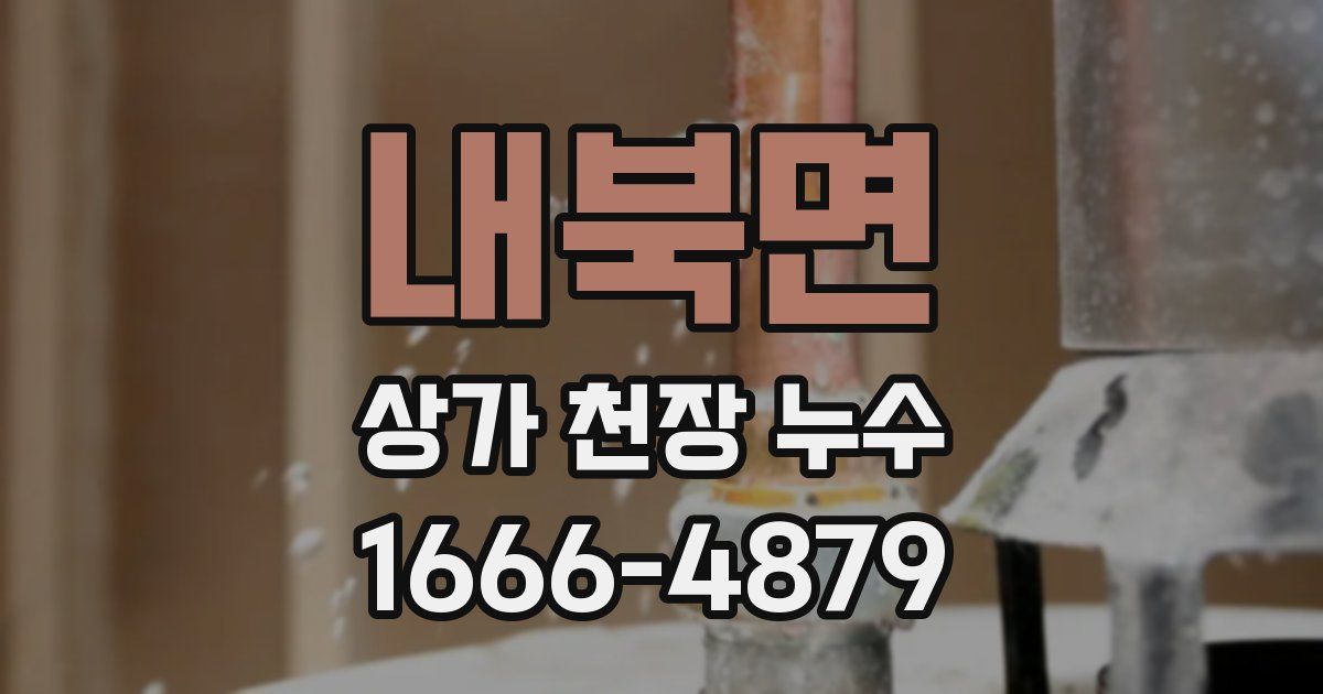 내북면 상가 천장 누수