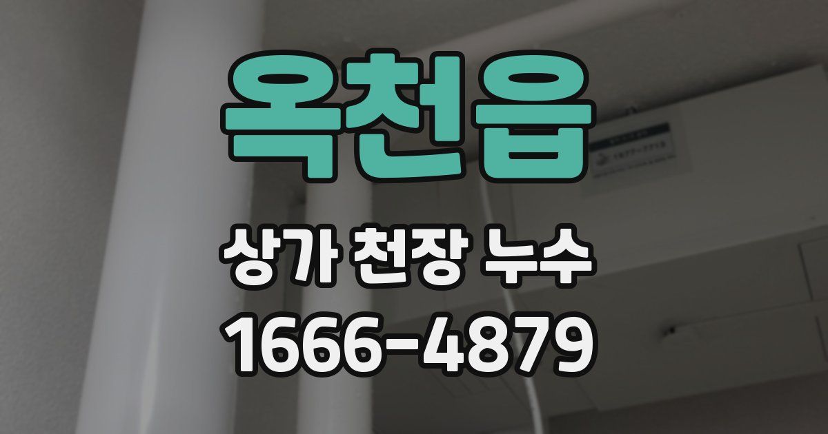 옥천읍 상가 천장 누수