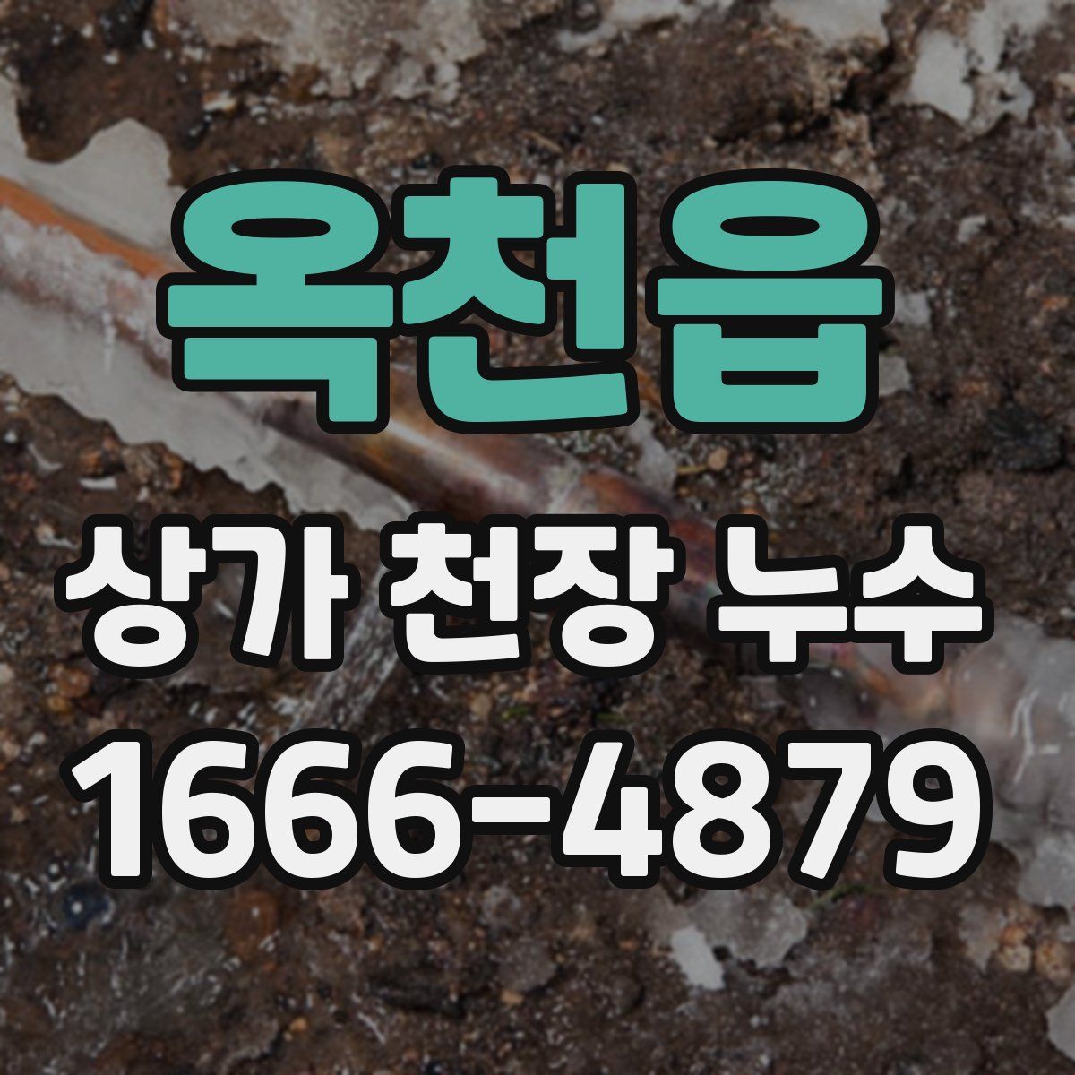 옥천읍 상가 천장 누수
