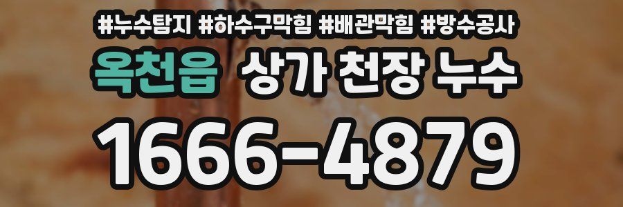 옥천읍 상가 천장 누수