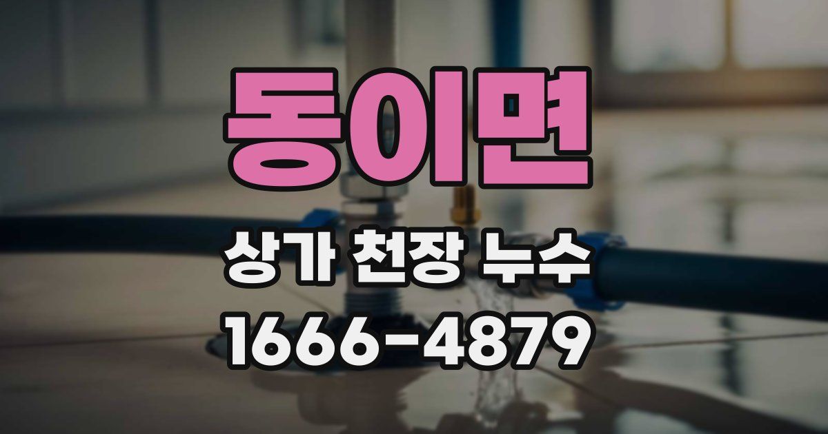 동이면 상가 천장 누수