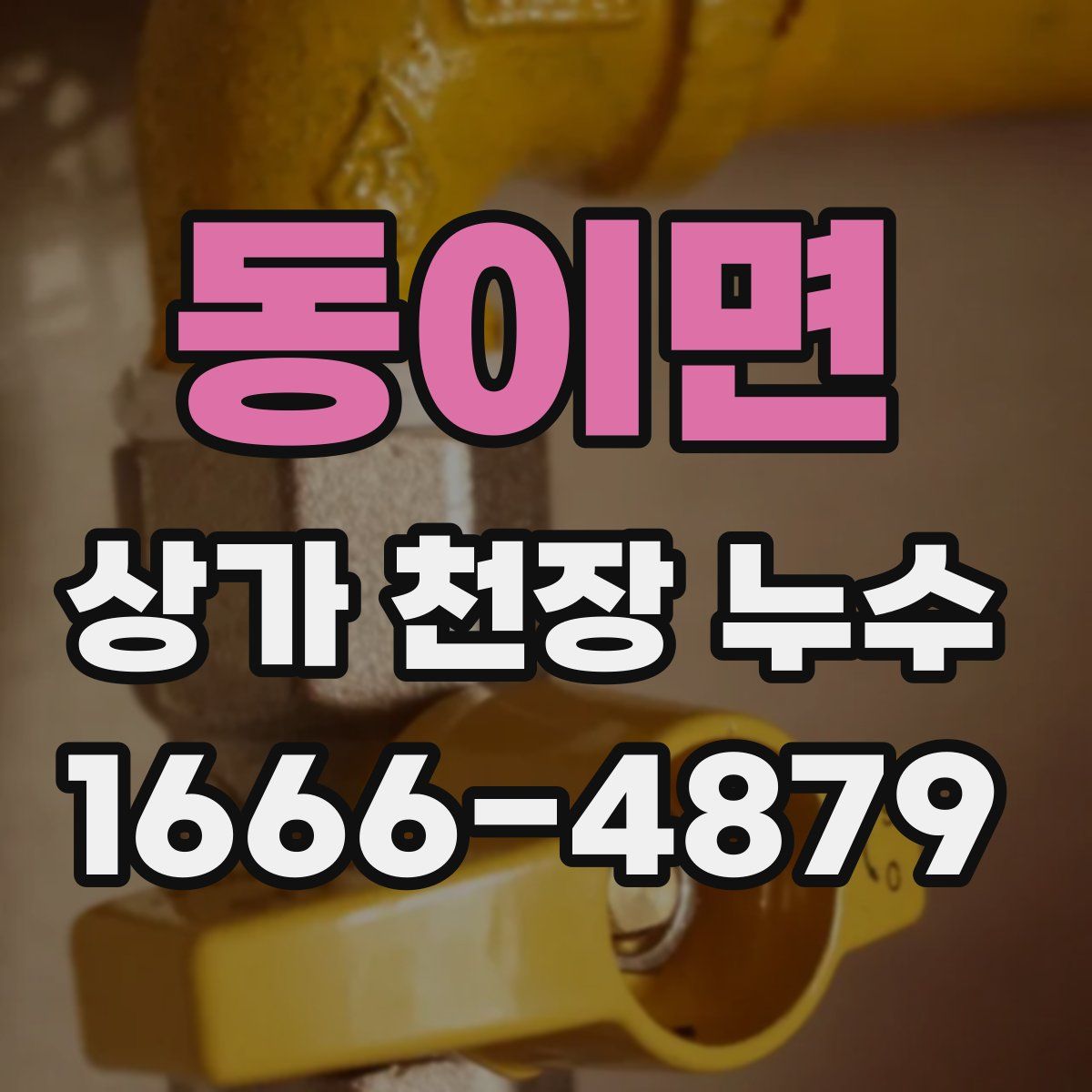 동이면 상가 천장 누수