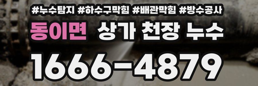 동이면 상가 천장 누수