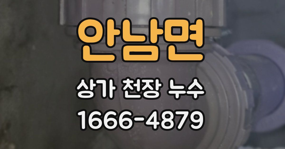 안남면 상가 천장 누수