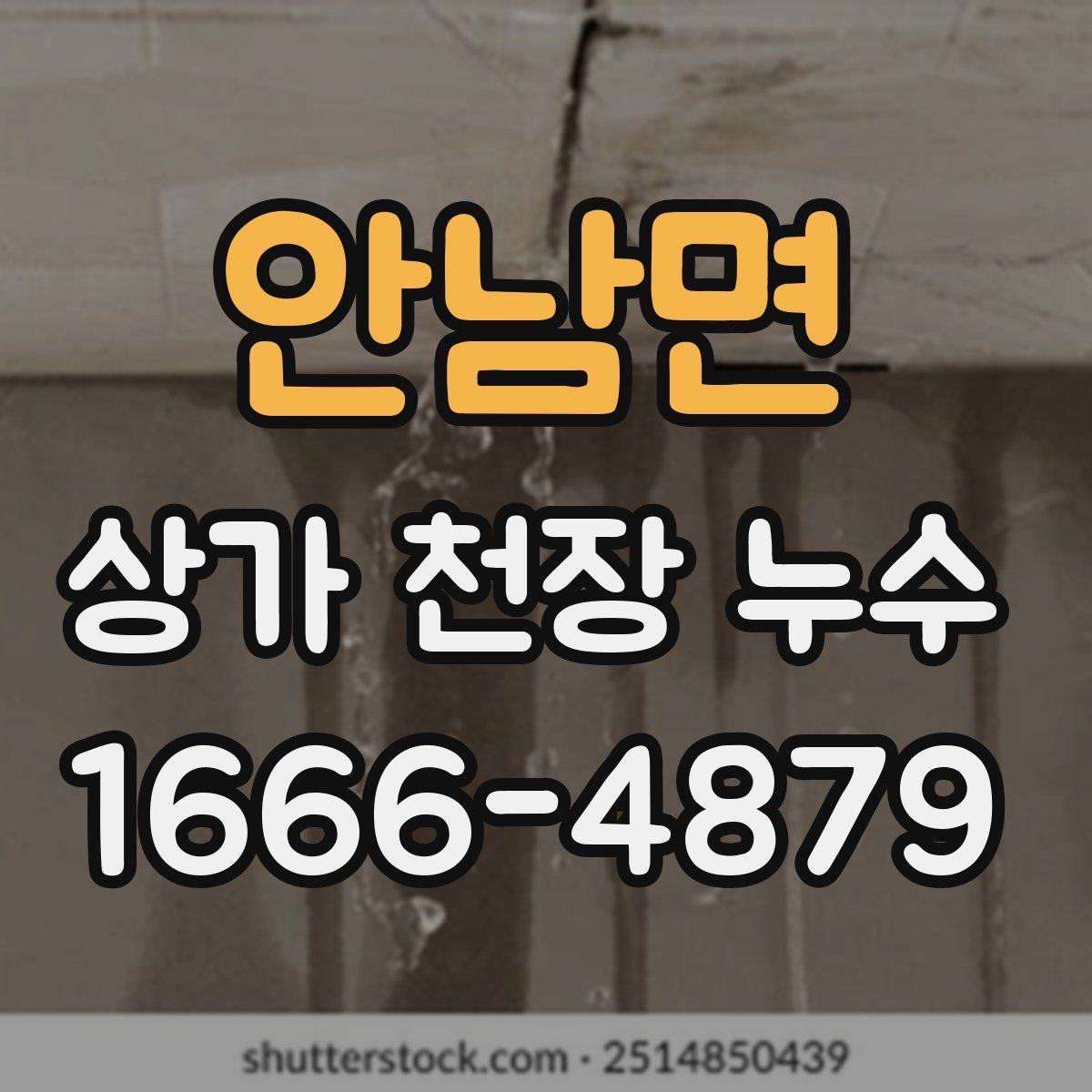 안남면 상가 천장 누수