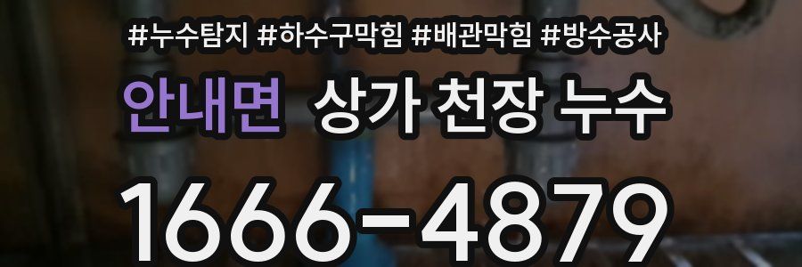 안내면 상가 천장 누수