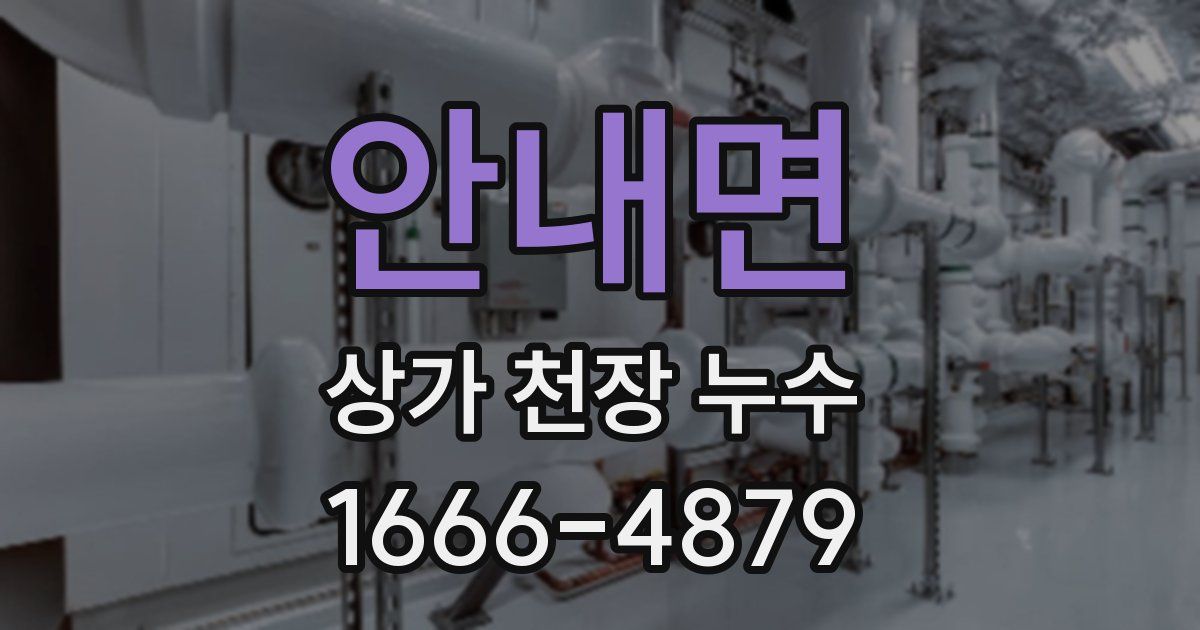 안내면 상가 천장 누수