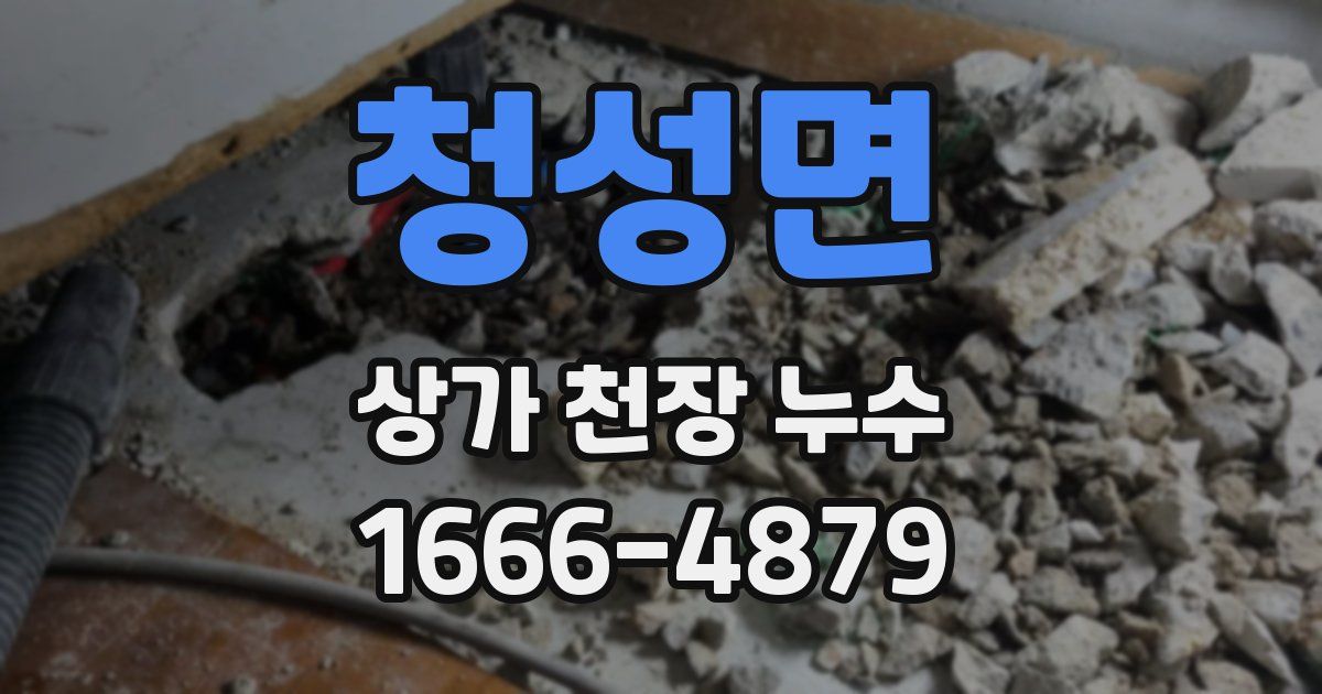 청성면 상가 천장 누수