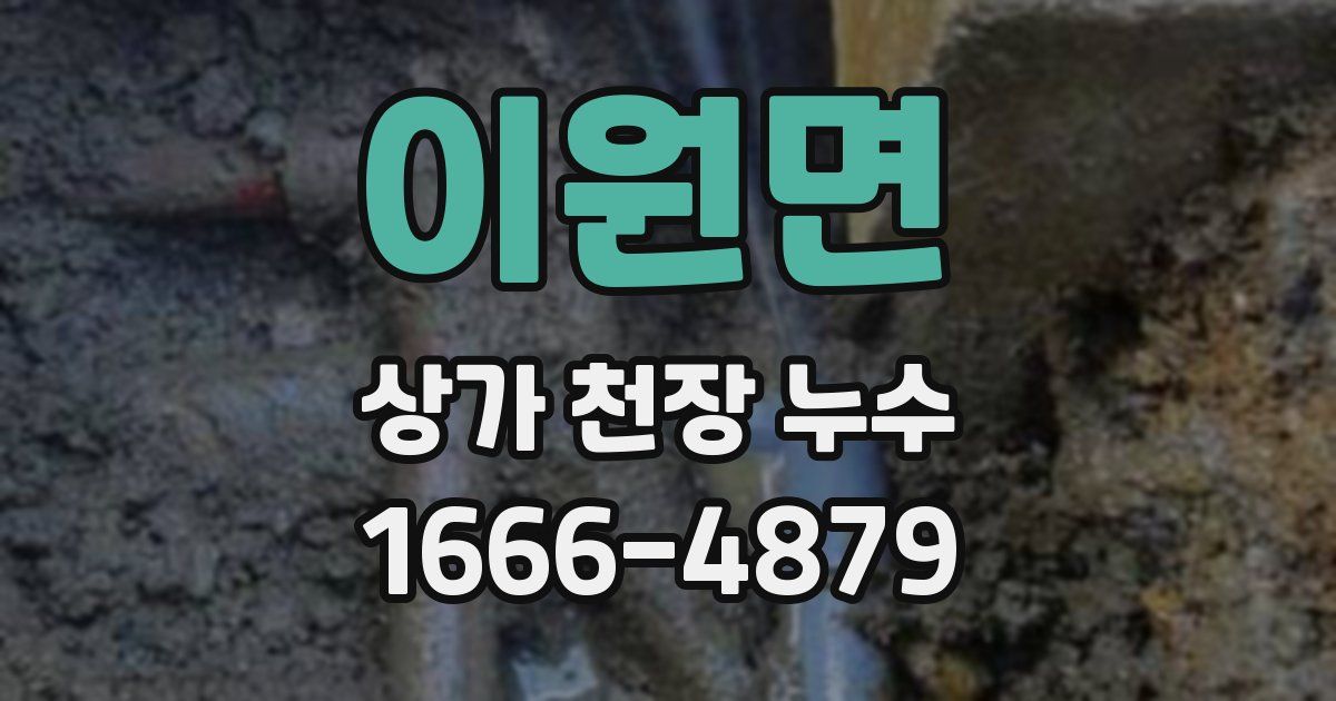 이원면 상가 천장 누수