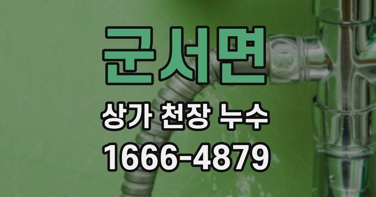 군서면 상가 천장 누수