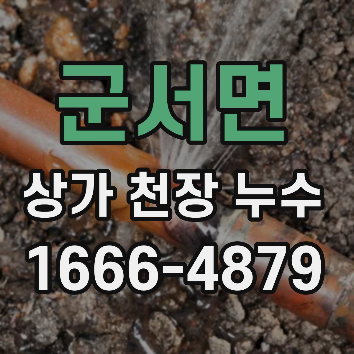 군서면 상가 천장 누수