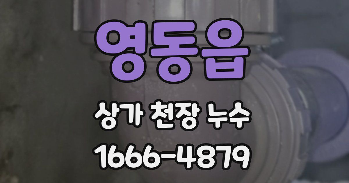 영동읍 상가 천장 누수
