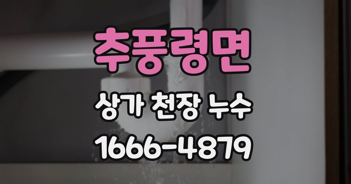 추풍령면 상가 천장 누수