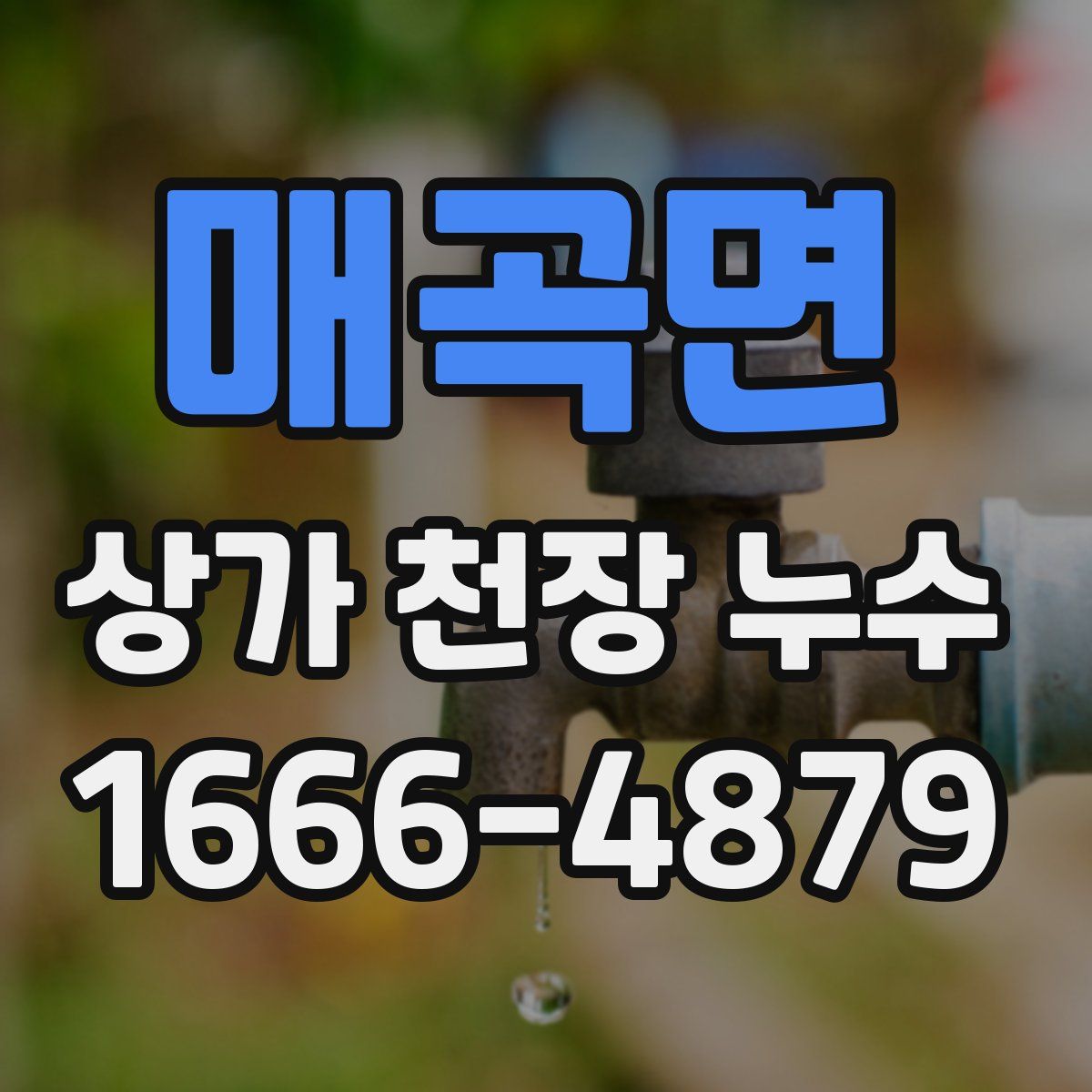 매곡면 상가 천장 누수