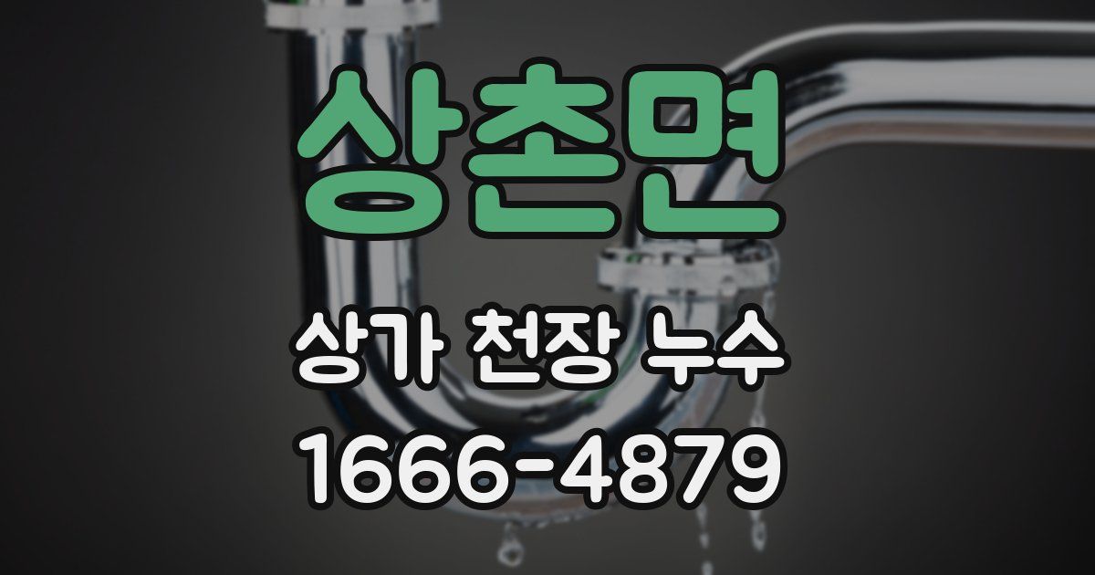 상촌면 상가 천장 누수