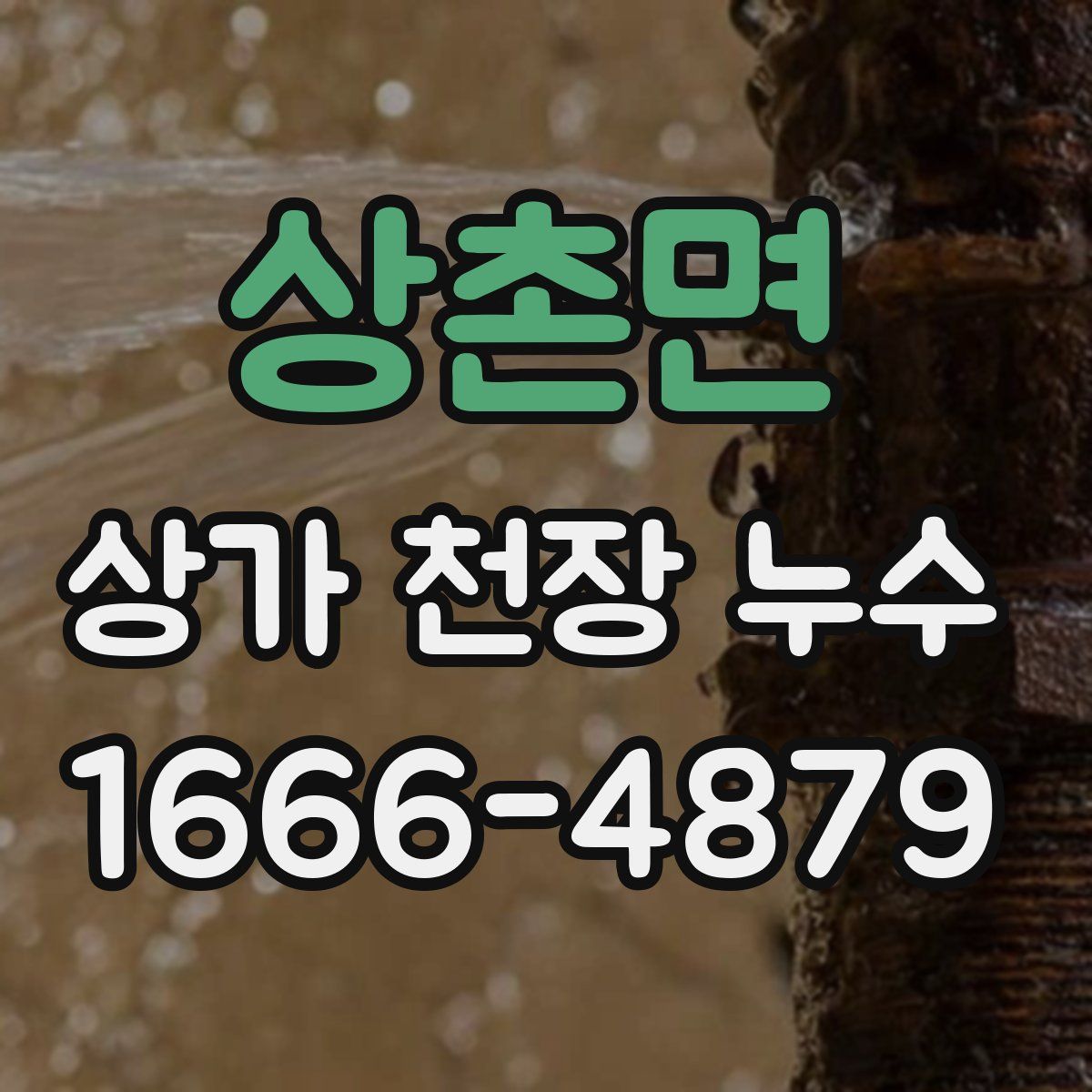 상촌면 상가 천장 누수