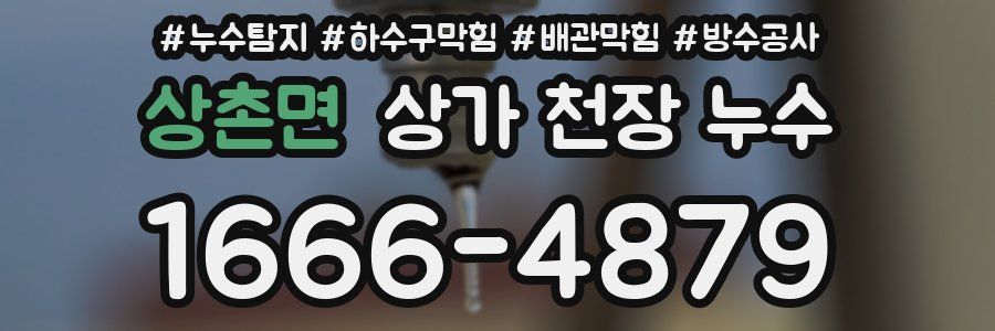 상촌면 상가 천장 누수