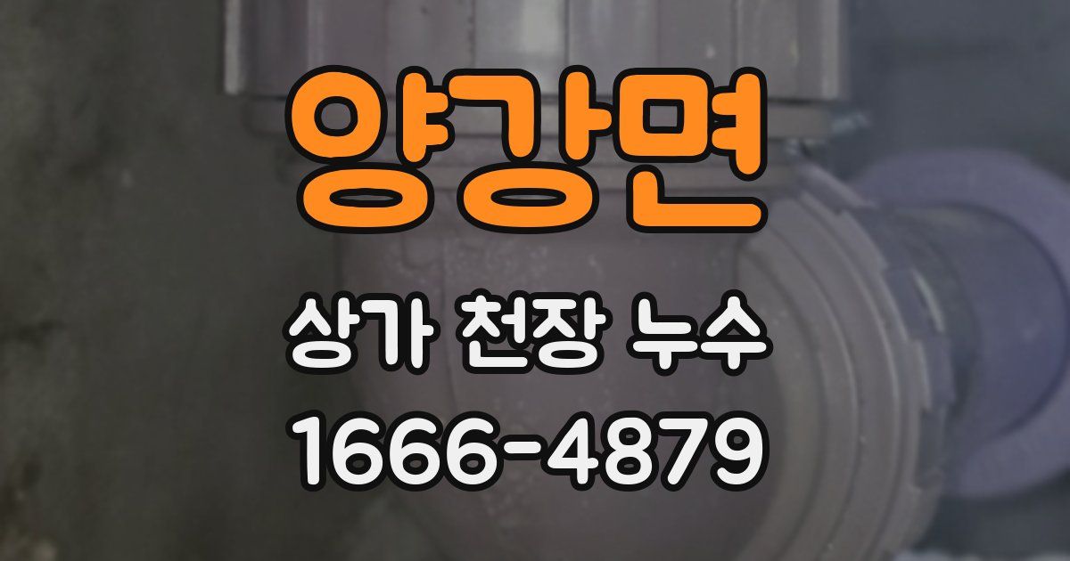 양강면 상가 천장 누수