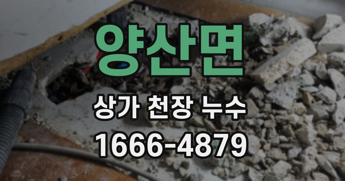 양산면 상가 천장 누수