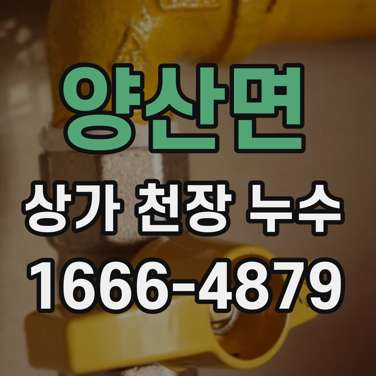 양산면 상가 천장 누수