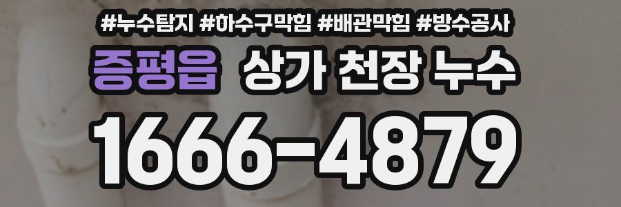 증평읍 상가 천장 누수