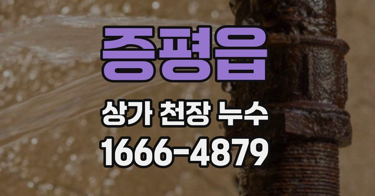 증평읍 상가 천장 누수