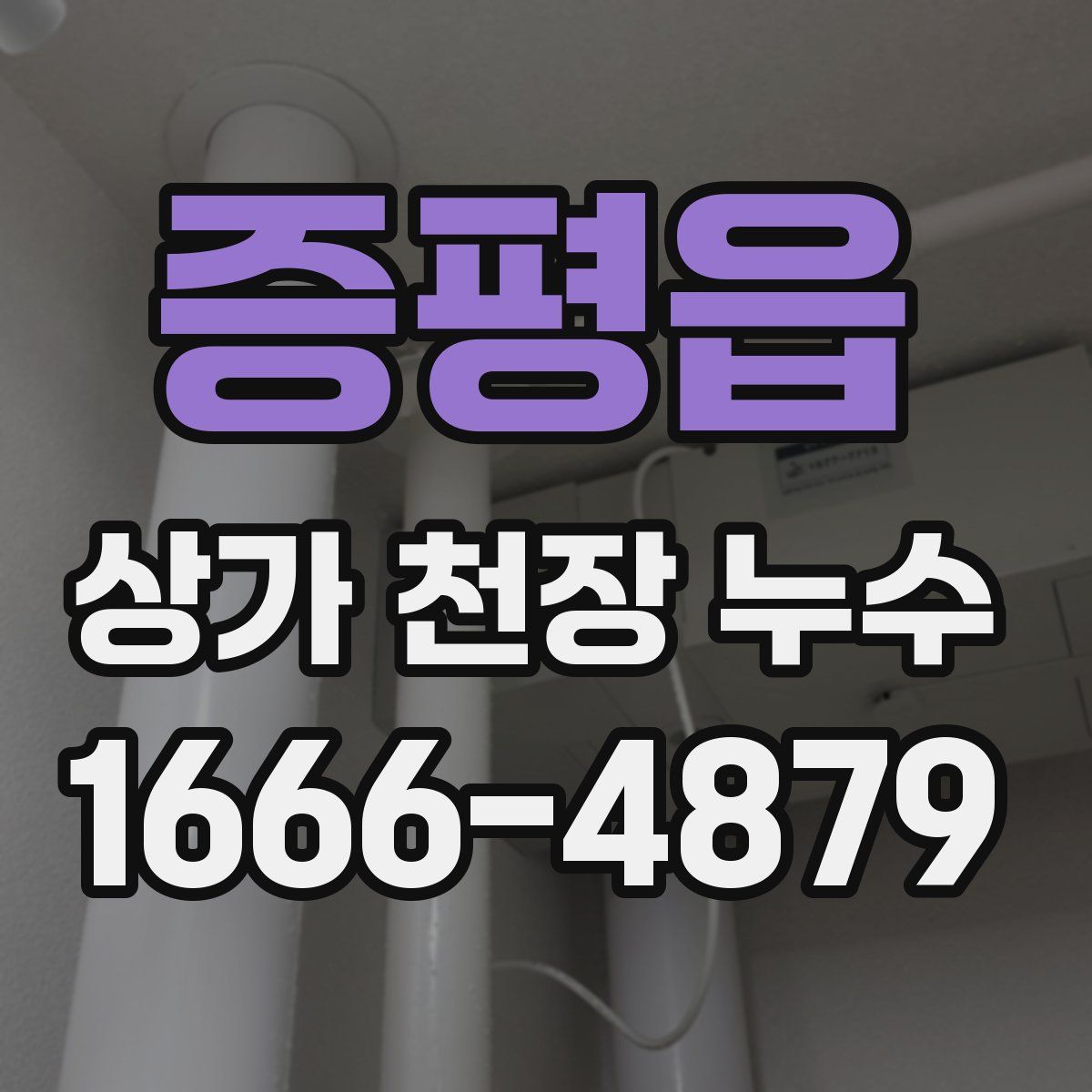 증평읍 상가 천장 누수