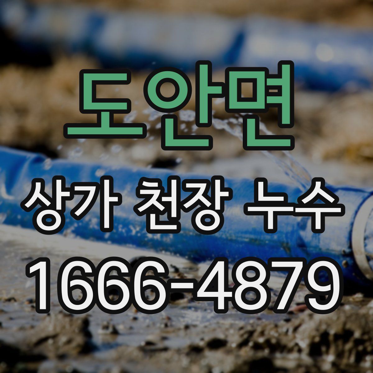 도안면 상가 천장 누수