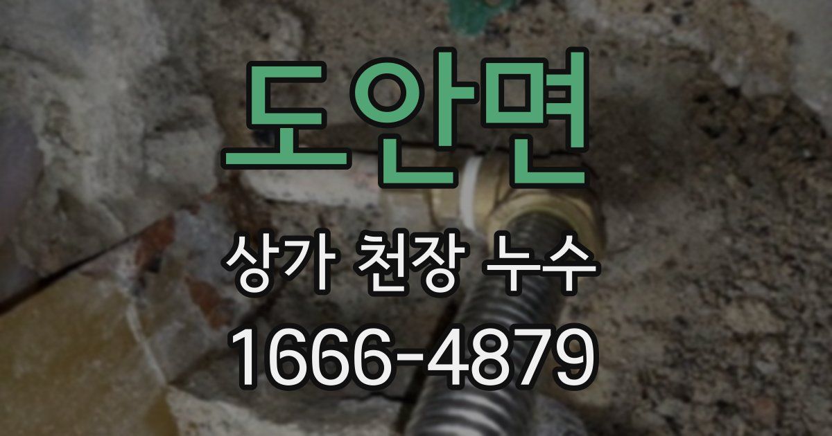 도안면 상가 천장 누수