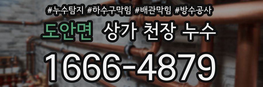 도안면 상가 천장 누수