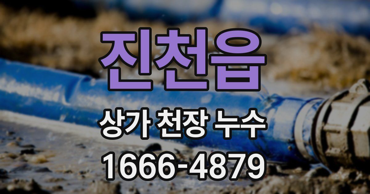 진천읍 상가 천장 누수