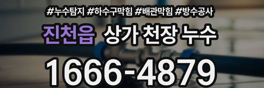 진천읍 상가 천장 누수