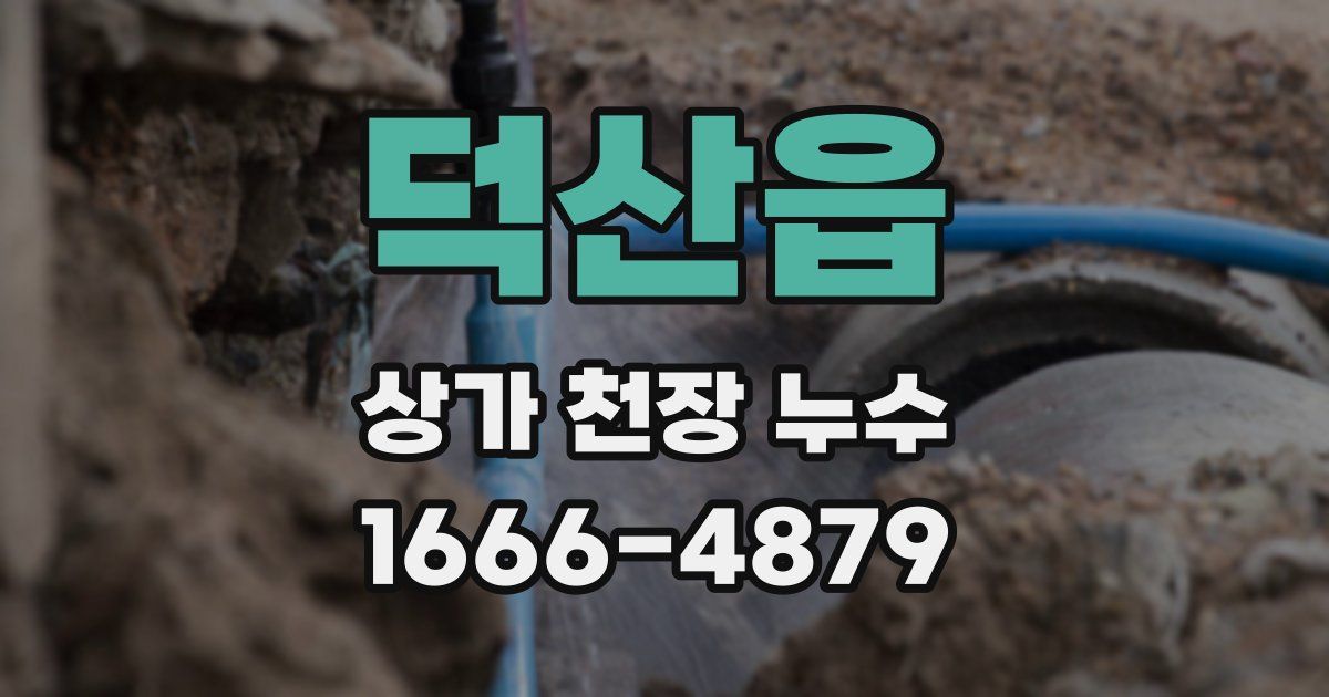 덕산읍 상가 천장 누수