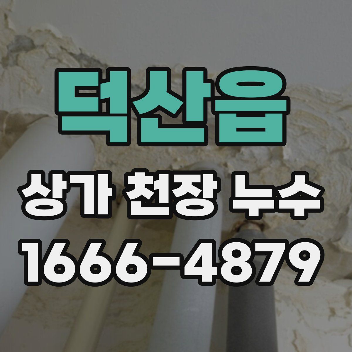 덕산읍 상가 천장 누수