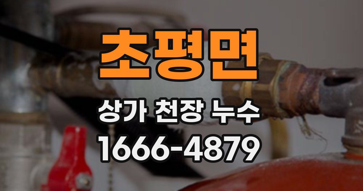 초평면 상가 천장 누수