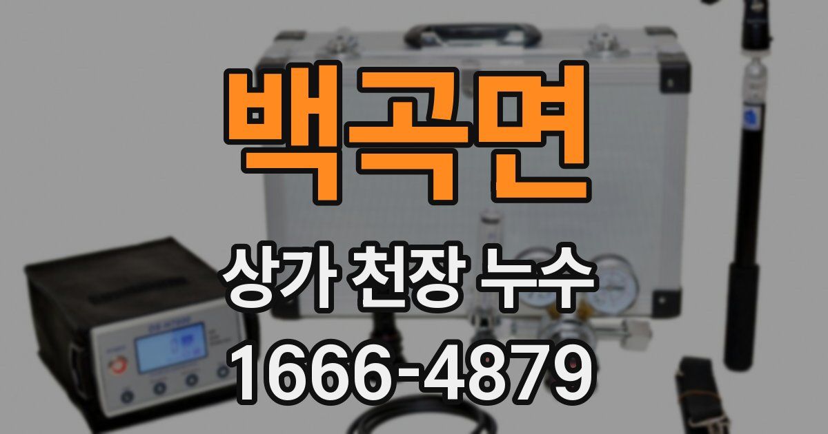 백곡면 상가 천장 누수