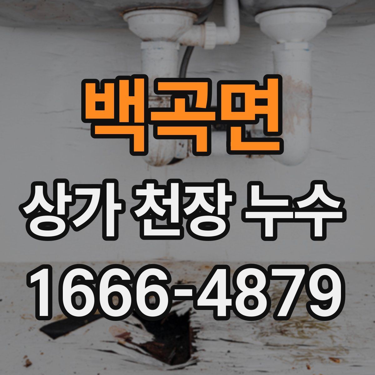 백곡면 상가 천장 누수