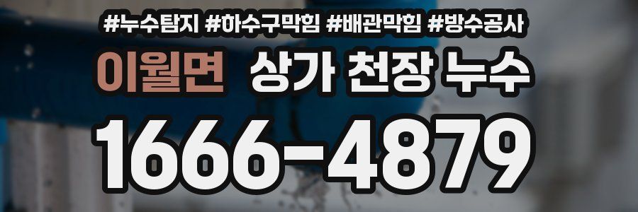 이월면 상가 천장 누수