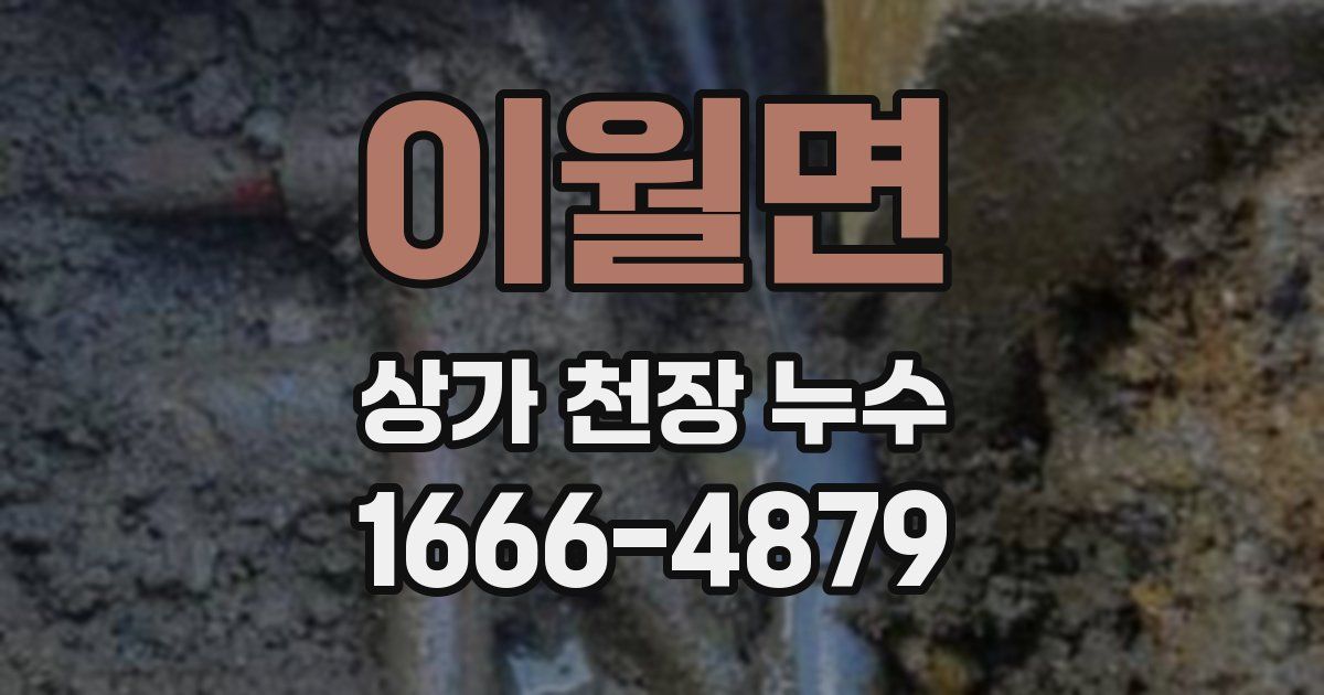 이월면 상가 천장 누수