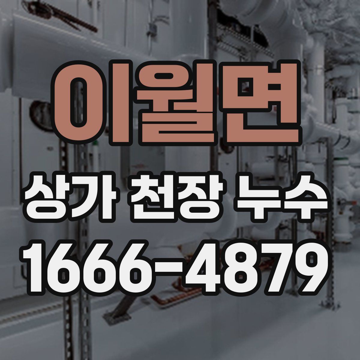 이월면 상가 천장 누수