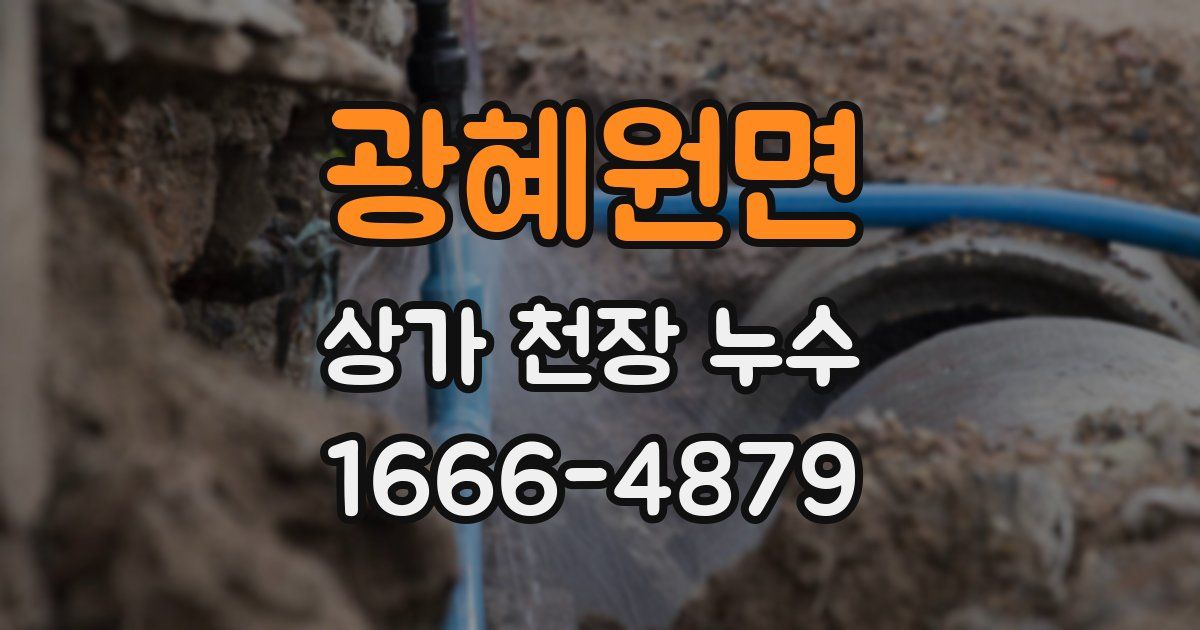 광혜원면 상가 천장 누수