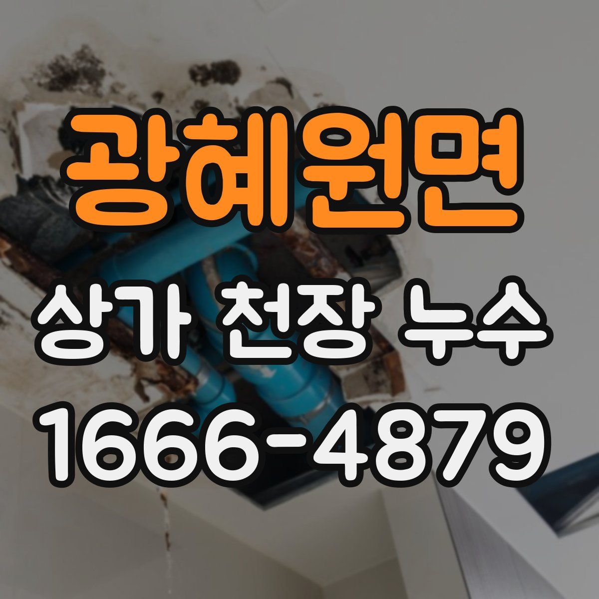 광혜원면 상가 천장 누수