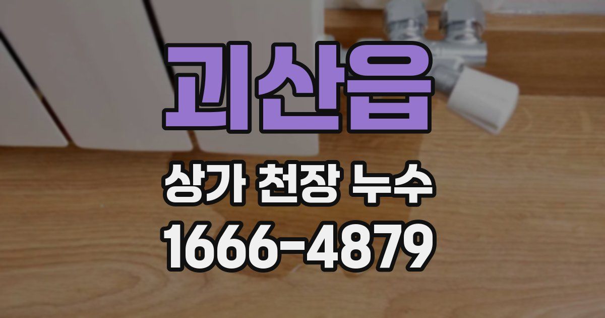 괴산읍 상가 천장 누수